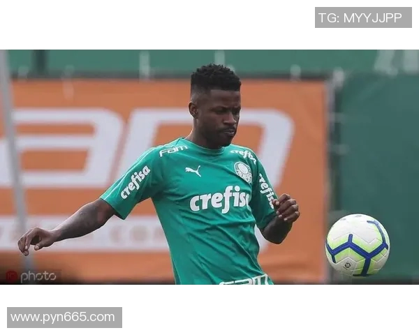 吉马雷斯与马里激战正酣精彩对决引发球迷热议