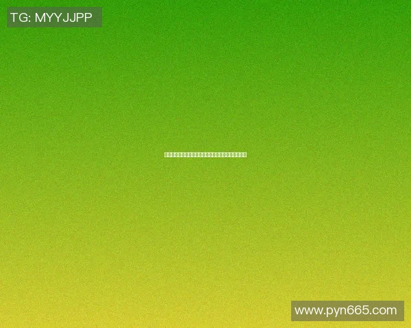 墨尔本骑士与布林狮子的激烈对决揭示澳超联赛新格局 墨尔本骑士与布林狮子的激烈对决揭示澳超联赛新格局