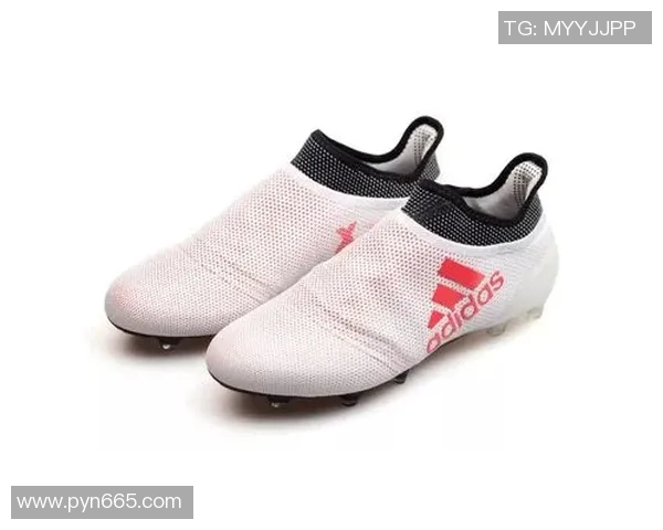 西布罗维奇与巴恩斯利激战正酣谁将赢得这场精彩对决