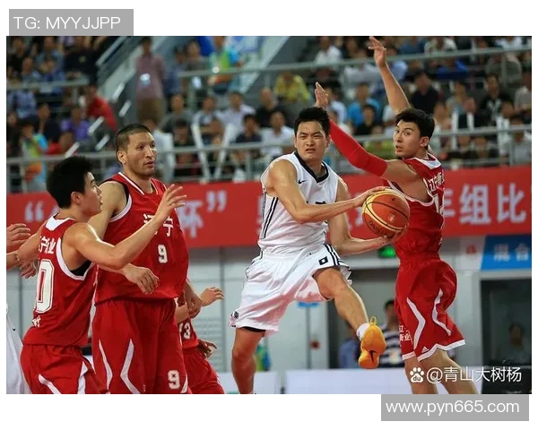 辽宁队与北控队精彩对决全场回放分析与精彩瞬间回顾