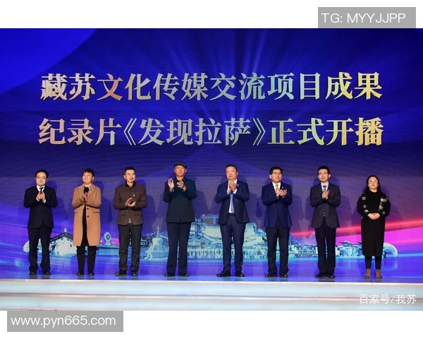 韩国与中国央视网的对比分析与文化交流探讨