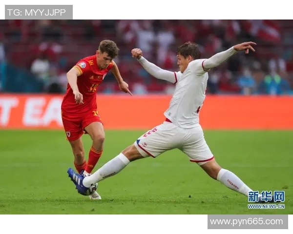 2012欧锦赛经典对决回顾荷兰与丹麦的激烈较量与战术分析