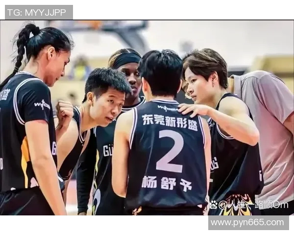 东莞主场迎战辽宁激情对决直播盛况不容错过